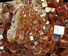 Pristine Red & Brown Vanadinite Crystals on Matrix - Morocco #42212-3
